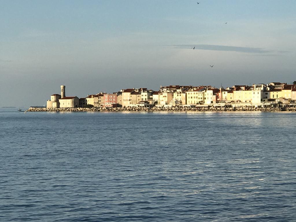Allure Apartments Piran Dış mekan fotoğraf